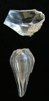 Figure12. Thesefragments from elegant, crystal stemwarewereamongthoserecoveredfrom theBoston Saloon. Photos by RonaldM. James.