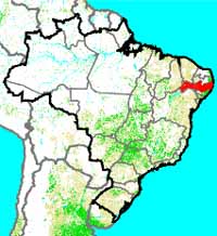 Pernambuco map image